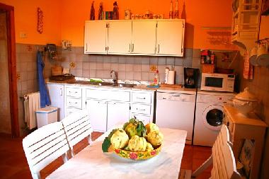 Holiday House in Arta (Mallorca) or holiday homes and vacation rentals