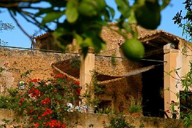 Holiday House in Arta (Mallorca) or holiday homes and vacation rentals