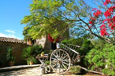 Holiday House in Arta (Mallorca) or holiday homes and vacation rentals