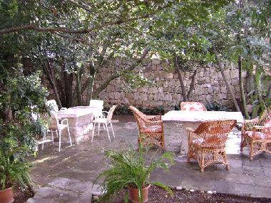 Mediterranean Garden