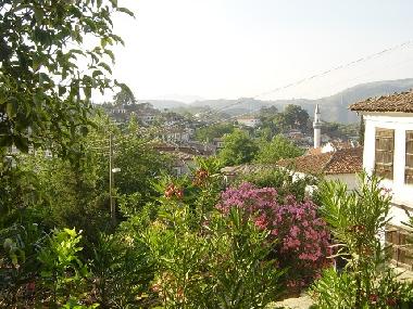 Wiev from Olive House terrace