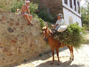 Omer ,the owner talks to Ali infront of the terrace cafe..