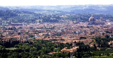 View from the garden