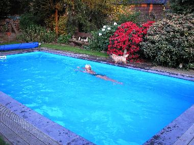 Holiday Apartment in Wellerlooi (Limburg) or holiday homes and vacation rentals