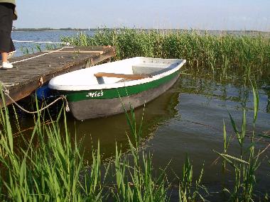 Holiday Apartment in Born am Darss (Fischland-Dar-Zingst) or holiday homes and vacation rentals