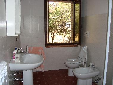 Holiday Apartment in Marciano della Chiana/Ar (Arezzo) or holiday homes and vacation rentals