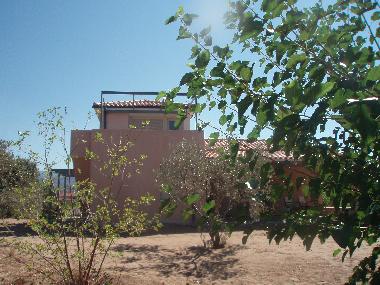 Holiday House in Zaharo (Messinia) or holiday homes and vacation rentals