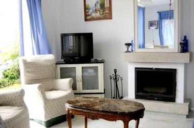 salon with chimney and dinning room