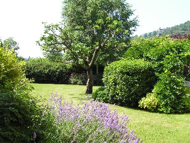 Holiday Apartment in Franciacorta-Lago d