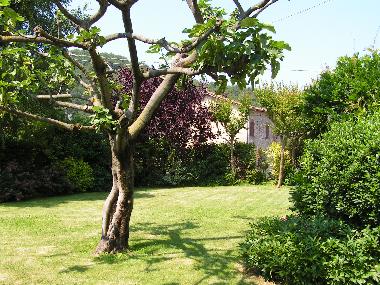 Holiday Apartment in Franciacorta-Lago d