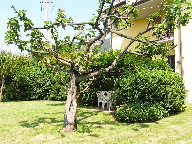 Holiday Apartment in Franciacorta-Lago d