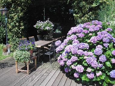 Holiday Apartment in Wellerlooi (Limburg) or holiday homes and vacation rentals