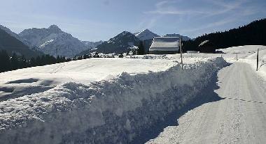 Holiday Apartment in Riezlern  (Bludenz-Bregenzer Wald) or holiday homes and vacation rentals