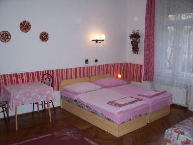 Holiday Apartment in Budapest (Budapest) or holiday homes and vacation rentals