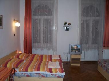 Holiday Apartment in Budapest (Budapest) or holiday homes and vacation rentals