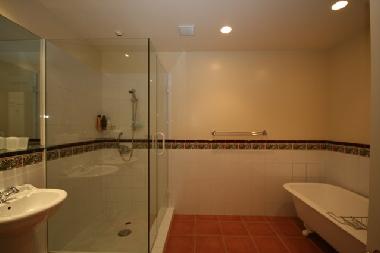 Main bathroom downstairs
