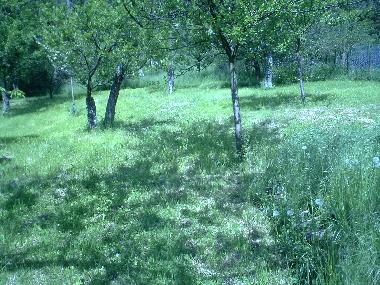 Holiday House in Nuits Saint Georges - Concoeur (Cte-d'Or) or holiday homes and vacation rentals