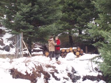 Snow Several times a year