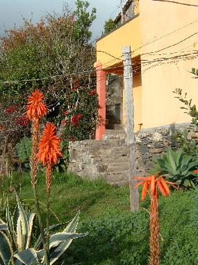 Holiday House in calheta (Madeira) or holiday homes and vacation rentals