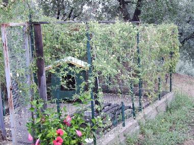 Holiday House in Montecatini Terme (Pistoia) or holiday homes and vacation rentals