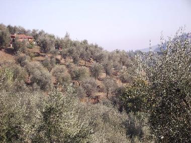 Holiday House in Montecatini Terme (Pistoia) or holiday homes and vacation rentals