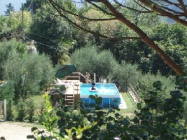 Holiday House in Pescia (Pistoia) or holiday homes and vacation rentals