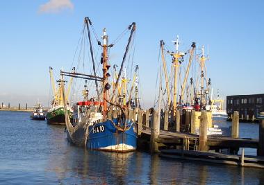 Holiday Apartment in Nieuwvliet-Bad (Zeeland) or holiday homes and vacation rentals
