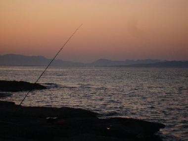 Chalet in Son Serra de Marina (Mallorca) or holiday homes and vacation rentals