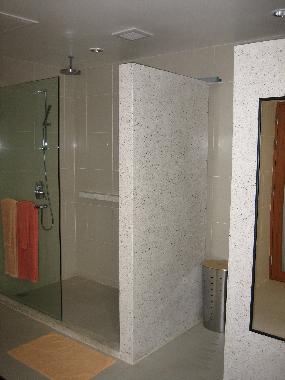 Master bathroom shower.
