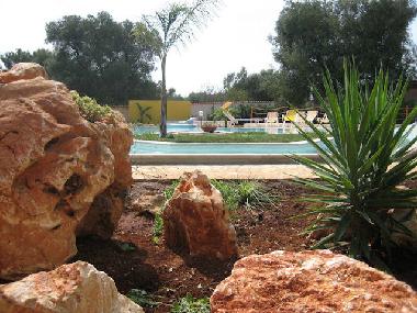 Rock and swimming pool