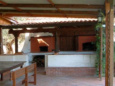 wood-burning stove and a BBQ