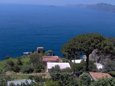 view from terrace