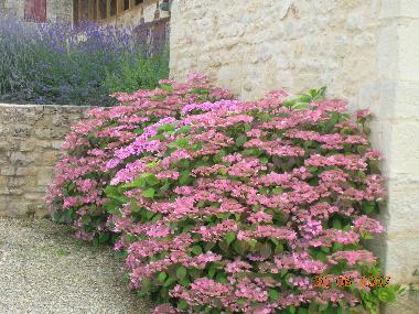 Holiday House in Chasseignas Nailhac (Dordogne) or holiday homes and vacation rentals