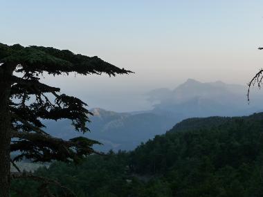 Holiday Apartment in Cirali (Antalya) or holiday homes and vacation rentals