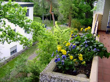 Holiday Apartment in Bad Bellingen (Black Forest) or holiday homes and vacation rentals