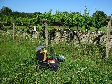 Holiday House in Sober (Lugo) or holiday homes and vacation rentals