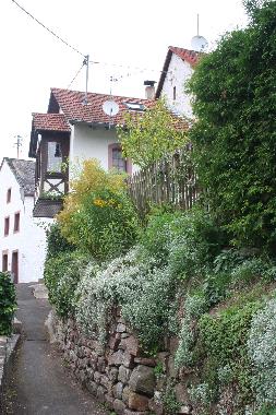 Holiday House in Eisenschmitt (Eifel - Ahr) or holiday homes and vacation rentals