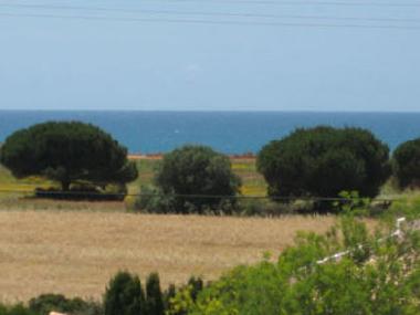 Holiday Apartment in Conil (C�diz) or holiday homes and vacation rentals