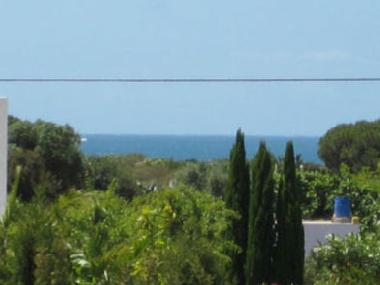 Holiday Apartment in Conil (C�diz) or holiday homes and vacation rentals