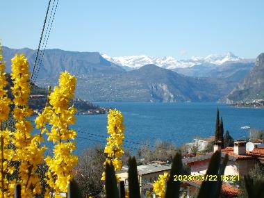 Holiday House in Sale Marasino (Brescia) or holiday homes and vacation rentals