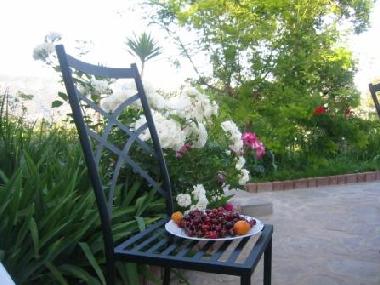 Holiday House in Imperia (Imperia) or holiday homes and vacation rentals