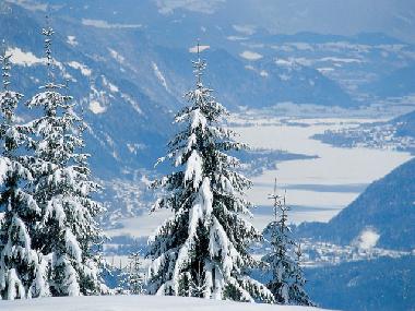 Holiday Apartment in Bodensdorf (Klagenfurt-Villach) or holiday homes and vacation rentals