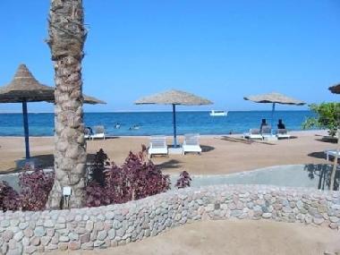 Holiday Apartment in hurghada (Al Bahr al Ahmar) or holiday homes and vacation rentals