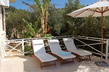 Wooden sunbeds with comfortable pads, pool towels provided