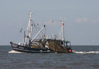 Holiday House in Cuxhaven (Nordsee-Festland / Ostfriesland) or holiday homes and vacation rentals