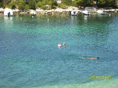 Holiday Apartment in Grebastica (Sibensko-Kninska) or holiday homes and vacation rentals