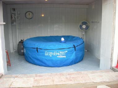 Holiday Apartment in Grebastica (Sibensko-Kninska) or holiday homes and vacation rentals