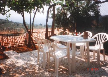 One of the two terraces, this one with shaddow from the wine