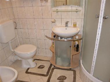 Barhroom with shower, bidet, toalet