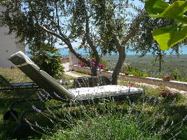 Holiday House in  GARGANO _Mattinata (Foggia) or holiday homes and vacation rentals